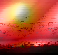 Fannie Bay Super Pizza - Accommodation Whitsundays