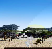 Hillock Downs Produce Store - Accommodation Whitsundays