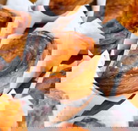 PAFU - Accommodation Whitsundays