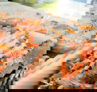 Rufus King Seafoods Amity Point - Accommodation Whitsundays