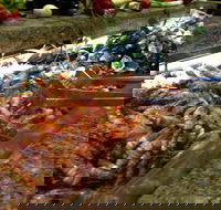 Bronze Orange - Accommodation Whitsundays