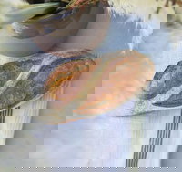 Pandesal Bakery - Accommodation Whitsundays