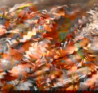 Tweenhills Chestnuts - Accommodation Whitsundays