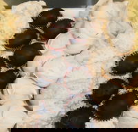 Uber Caf - Accommodation Whitsundays