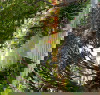 Velvet  Willow - Accommodation Whitsundays