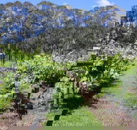 Woongooroo Estate Winery - Accommodation Whitsundays
