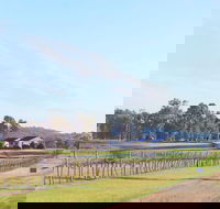 Blacklea Vineyard and Olive Grove - Accommodation Whitsundays