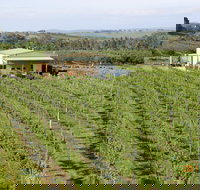 Dindima Wines - Accommodation Whitsundays