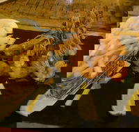 Jack and Shanan's - Accommodation Whitsundays