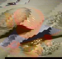 Spinnaker Bar  Restaurant - Accommodation Whitsundays