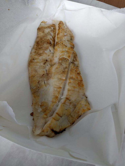 Chipper Fish - Accommodation Whitsundays 0