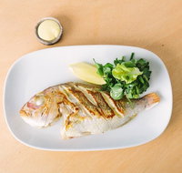 fish.dining - Accommodation Whitsundays