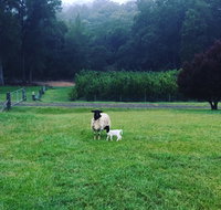 Goat Hill Farm - Accommodation Whitsundays