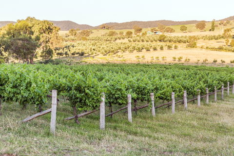 Guneemooroo Estate - Accommodation Whitsundays 2