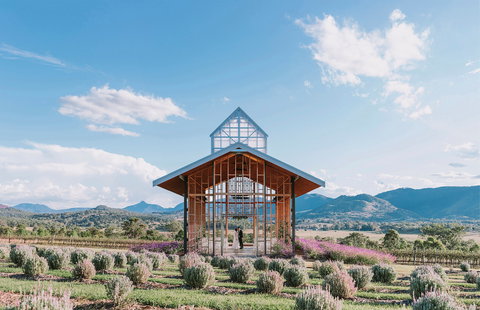 Kooroomba Vineyard And Lavender Farm - Accommodation Whitsundays 0