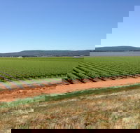 Melange Wines - Accommodation Whitsundays