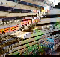 Teamo Teahouse - Accommodation Whitsundays