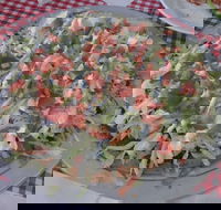 Texas Wild Wings - Accommodation Whitsundays