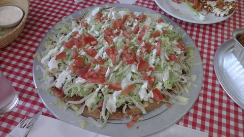 Texas Wild Wings - Accommodation Whitsundays 0