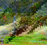 The Red Apron Gourmet Kitchen - Accommodation Whitsundays