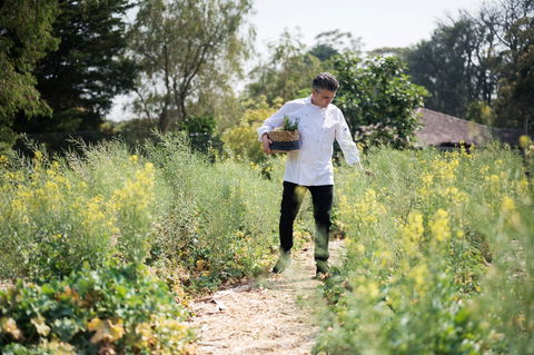 The Wild Flower Bar And Dining - Accommodation Whitsundays 2