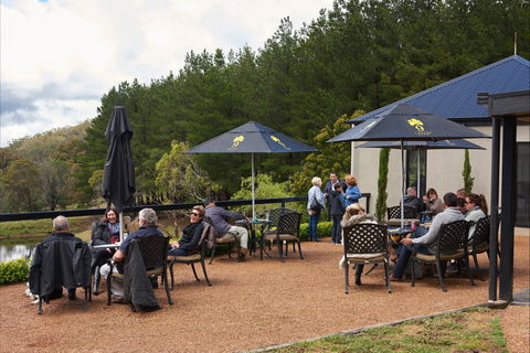 Cloud 9 Farm - Accommodation Whitsundays 2