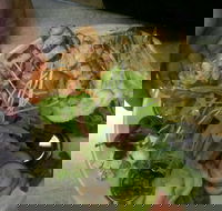 Taste Canowindra - Accommodation Whitsundays