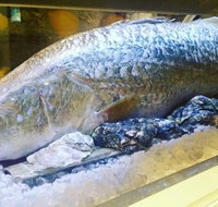 Toyo Sushi - Parramatta - Accommodation Whitsundays
