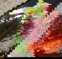 Cafe Rhubaba - Accommodation Whitsundays