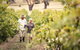Lambert Estate Wines - thumb 2