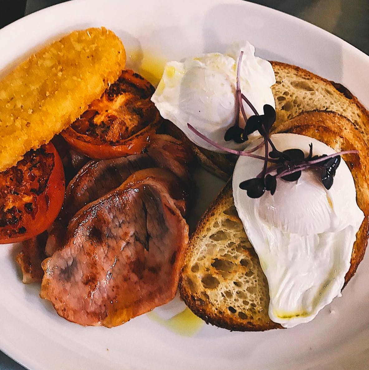 Surrey Hills VIC Accommodation Whitsundays