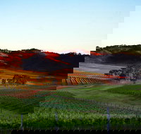 Dalwhinnie Wines - Accommodation Whitsundays