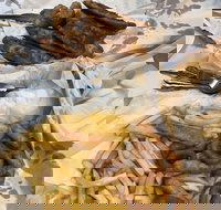 Miami Fish and Chip Shack - Accommodation Whitsundays