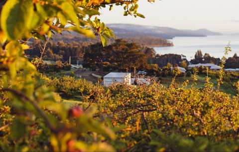 The Woodbridge Smokehouse - Accommodation Whitsundays 0