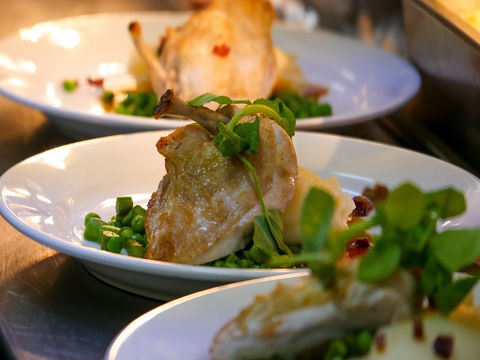 Griffith Exies Club - Accommodation Whitsundays 1