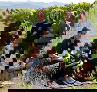 Pizzini Wines King Valley - Accommodation Whitsundays