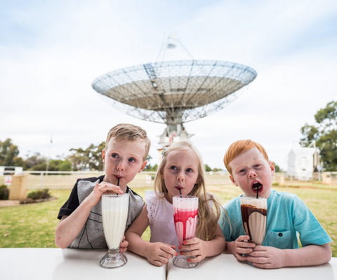 The Dish Cafe - Accommodation Whitsundays 0