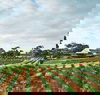 Vasse Felix Winery - Accommodation Whitsundays