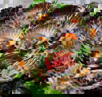 Anam Restaurant - Accommodation Whitsundays