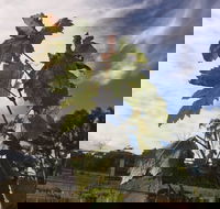 Banca Ridge Cellar Door and Vineyard - Accommodation Whitsundays