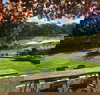 Deviation Road Winery - Accommodation Whitsundays