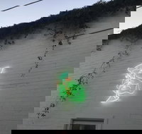 Jessie's Girl - Accommodation Whitsundays