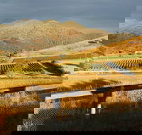 Optimiste Wines - Accommodation Whitsundays