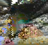 Sweetness Your Lolly Shop and Gelato - Accommodation Whitsundays