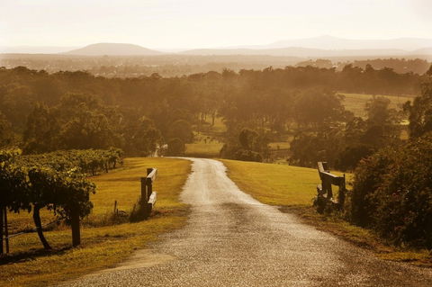 Petersons Wines - Accommodation Whitsundays 0