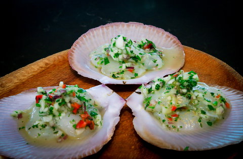 The Vinyard Wine Bar And Restaurant - Accommodation Whitsundays 0