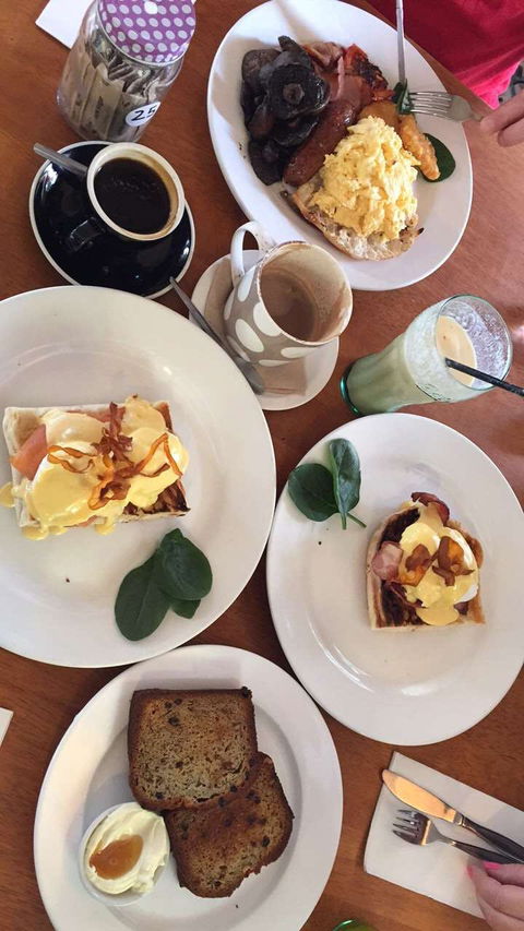 The Fig Tree - Accommodation Whitsundays 0