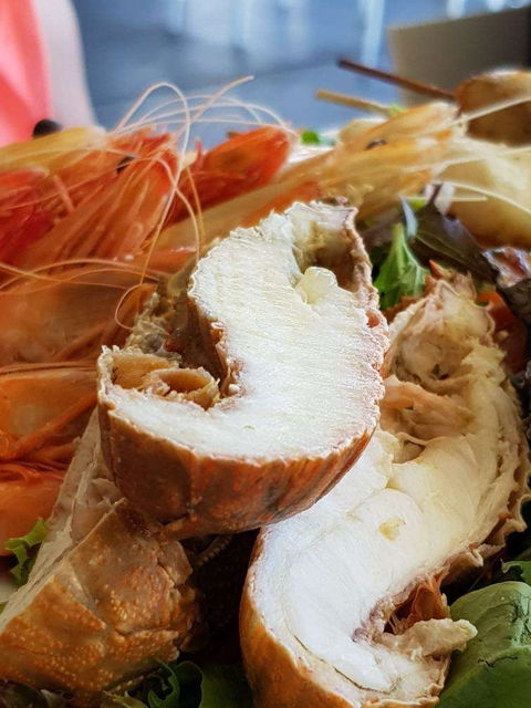 Bribie Island Surf Club - Accommodation Whitsundays 0