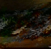 O Sushi - Accommodation Whitsundays