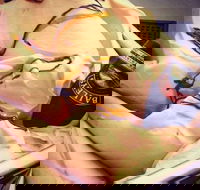 Scoops Gelatiland - Accommodation Whitsundays